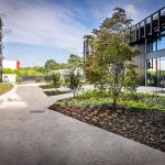 Bedrijfstuin aanleg gert-kwanten