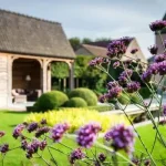 Een tuin met een natuurlijke-uitstraling