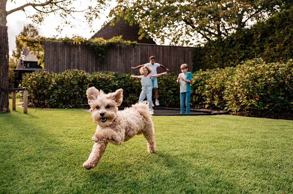 Gert Kwanten ONE-DNA kunstgras