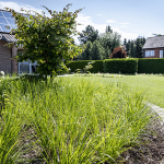 Hoe maak ik een tuin klimaatvriendelijk