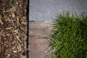 Kilmaatvriendelijke tuin-1