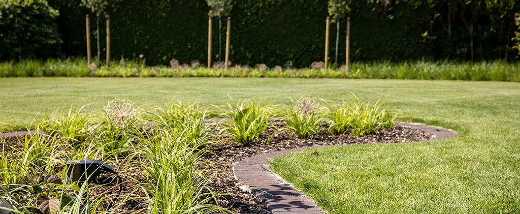 Klimaatvriendelijke tuin