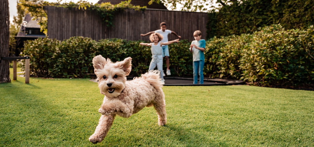 Kindvriendelijke tuin