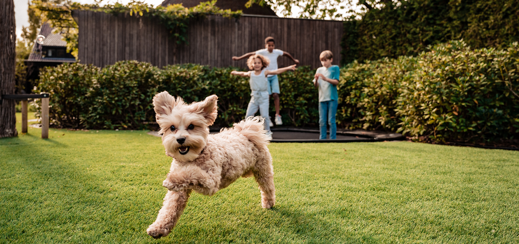 Kindvriendelijke tuin