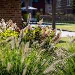 Tuinaanleg Gert-Kwanten